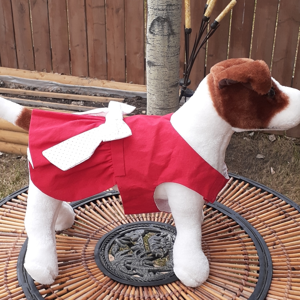 Dog apparel